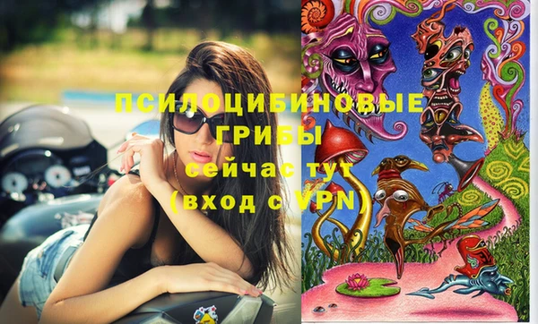 mdpv Волосово