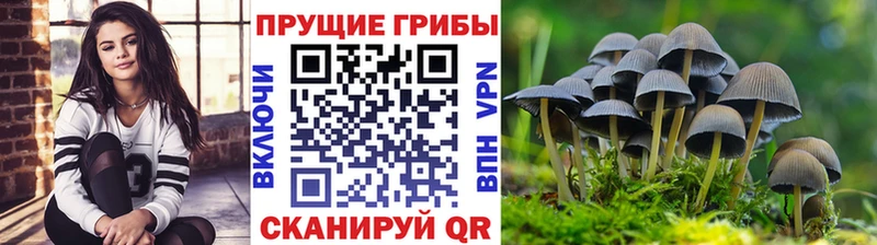 Купить закладки  Костерёво  Галлюциногенные грибы Psilocybine cubensis 
