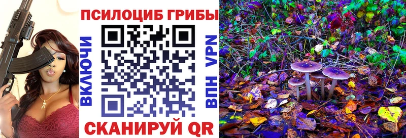 Псилоцибиновые грибы ЛСД Костерёво